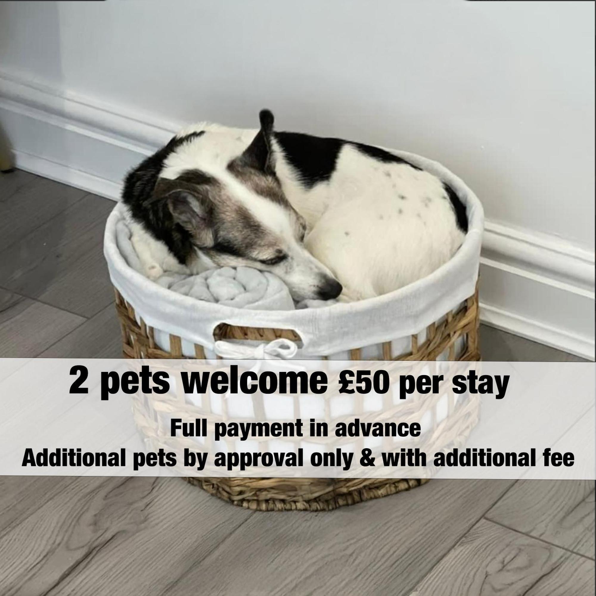 Norton Terrace Charming Home In The Beautiful Afan Forest By Staystaycations Port Talbot Εξωτερικό φωτογραφία